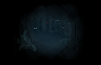 Down the Forest Path