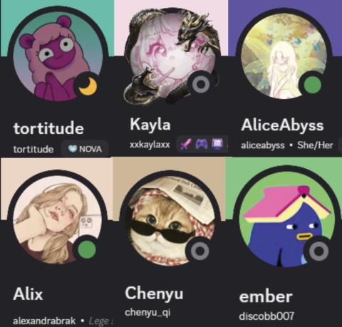 Team Names: Tortitude, Kayla, AlixeAbyss, Alix, Chenyu, ember